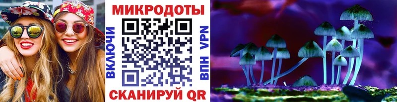 Псилоцибиновые грибы Cubensis Константиновск